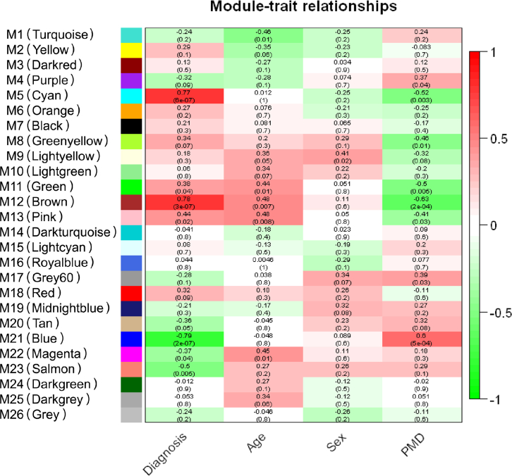 The module–trait relationships of the WGCNA of SN proteome data. The module–trait relationships of WGCNA of the SN proteome data were presented in the form of a heatmap. The Pearson correlations between 26 protein cluster modules and four traits composed of diagnosis, age, sex, and PMD were calculated and colored on a scale of 1 (positive correlation) to −1 (negative correlation). A protein cluster module was generated by collecting proteins with similar expression patterns across the samples. The correlation values are shown at the top of each box, and the p values are shown on the bottom of each box inside the parenthesis. PMD, postmortem delay; SN, substantia nigra; WGCNA, weighted gene coexpression network analysis.