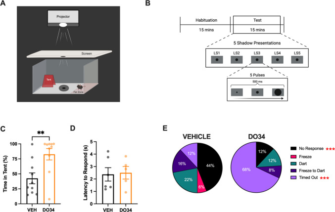 Attenuating 2-AG biases passive state responses to innate fear. A Looming shadow arena (B) Behavioral paradigm (C) Percent time spent in tent during test stage. D Average latency to respond to shadow presentation. E Average percentage of times a behavior was displayed in response to shadow by all mice in each treatment group (VEH: n = 5 males, 5 females; DO34: n = 5 males, 5 females). Differences between treatment groups were determined by chi-squared test. All error bars represented as ± SEM. *p < 0.05, **p < 0.01, ***p < 0.001, ****p < 0.0001