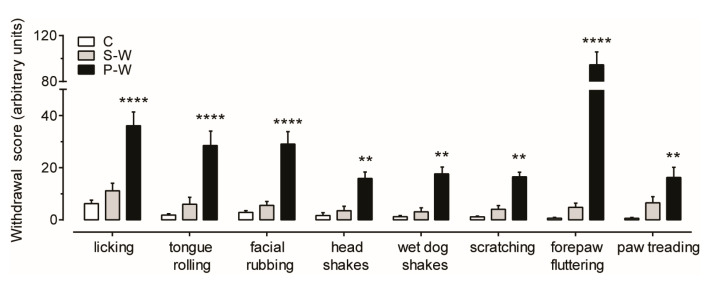 Behavioral manifestations of THC withdrawal. Bar histogram showing mean ± SEM of behavioral cannabinoid-withdrawal scores observed for 30 min for each group. P-W rats show a marked behavioral withdrawal syndrome (C, n = 16; S-W, n = 17; P-W, n = 16; two-way ANOVA and Sidak test, **** p < 0.0001, ** p < 0.01).
