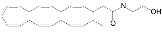 Chemical structure of N-docosahexaenoylethanolamine (DHEA, synaptamide).