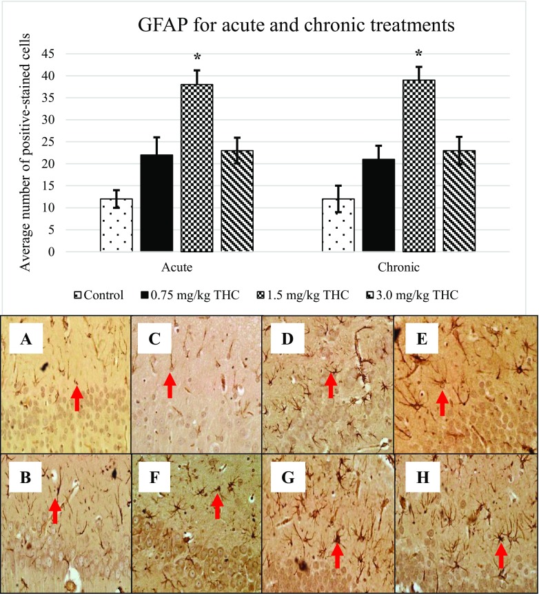 Upregulation of glial fibrillary acidic protein (GFAP). Arrows above show the GFAP-positive cell that appeared brownish in colour. GFAP-positive cell presents in the GCL in the DG. Pictures of a and b show the positive cell of control, c–e are for acute treatment, while f–h are for chronic treatment