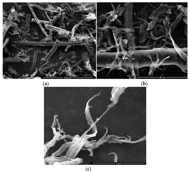 Micrographs of the fibers at different magnifications: (a) general overview at 300 µm (b) and increasing details at 40 µm (c) and 3 µm.