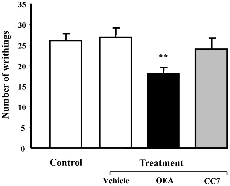 Effects of OEA and CC7 (5 mg/kg, i.p.) on abdominal constrictions (writhing) caused by i.p. injection of 0.6% acetic acid in CD1 mice.Drugs were administered 15± SEM. Data were analyzed by Student’s t test. **P<0.01 compared to vehicle- and acetic acid-treated mice.