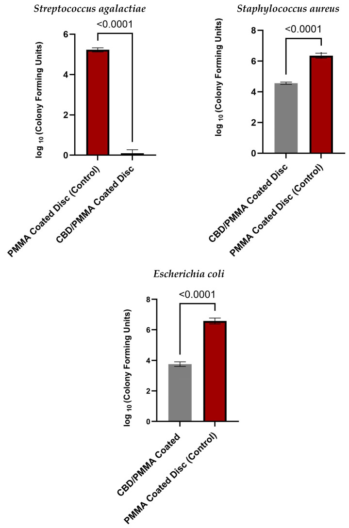 Log (CFU) counts of bacteria in MMA coatings and PMMA/CBD coatings after 24 h incubation with S. agalactiae, S. aureus, and E. coli biofilms. p-value of 0.001 resembles a high significant difference between the two groups.