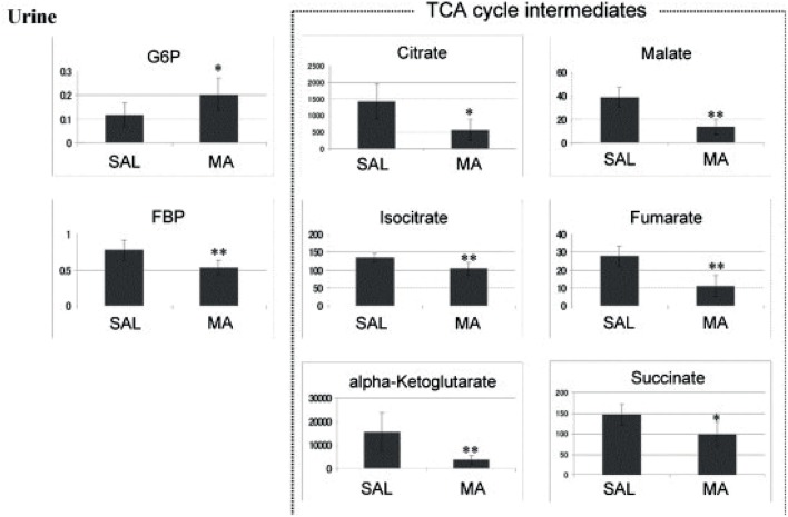 Anionic metabolites identified in a 0–24 h urine samples using CE-MS. *p < 0.05, **p < 0.01 methamphetamine (MA) vs. saline (SAL). Reprinted (adapted) with permission from Shima et al. (2011). Copyright 2011, Elsevier.