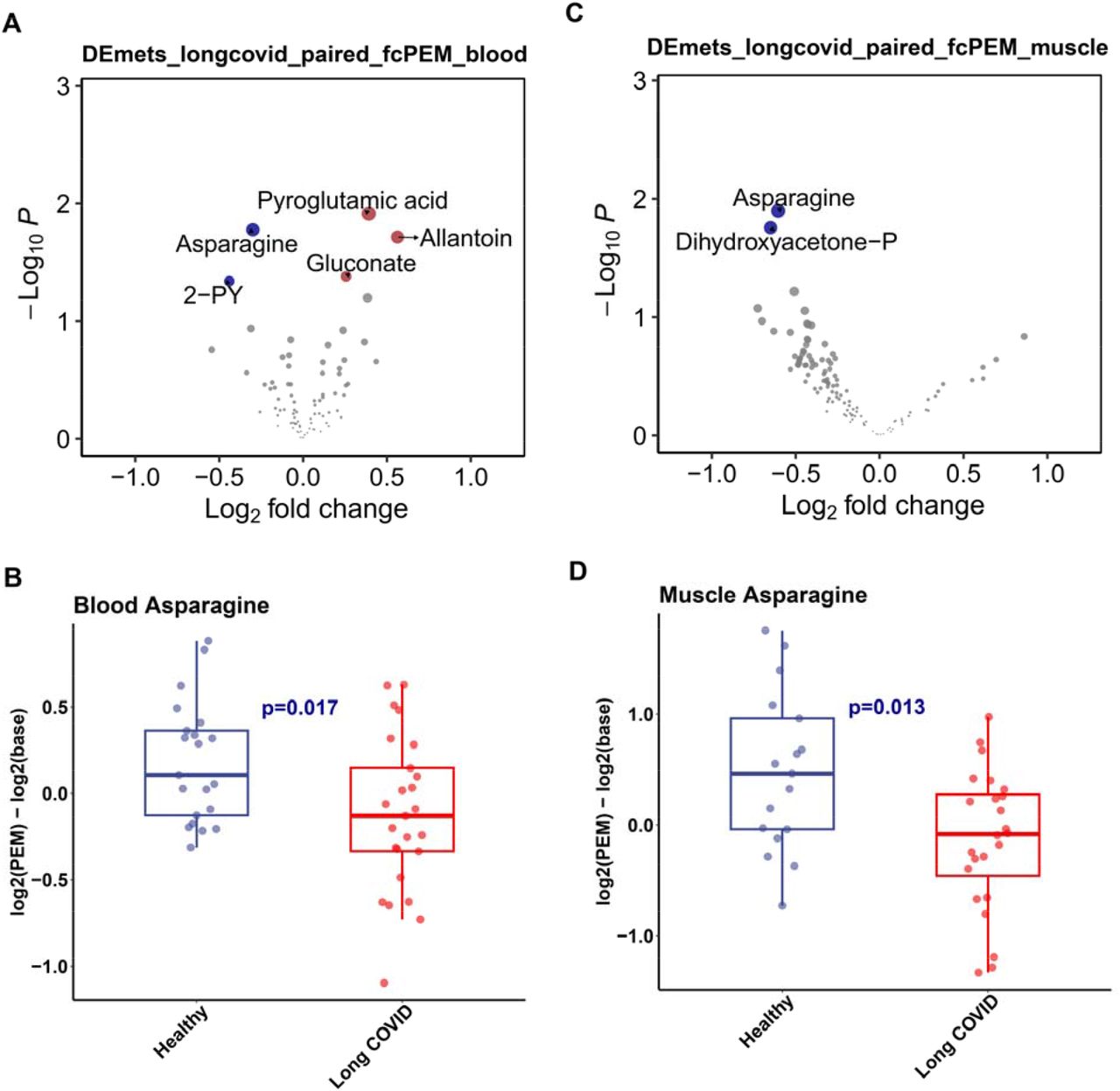 Pair-wise changes of metabolite levels in Long COVID after post-exertional malaise (PEM). (A). Volcano plot of pair-wise metabolic changes in the muscle of Long COVID patients after PEM. (B). Boxplot of changes of asparagine level in the blood between Long COVID and healthy controls. (C). Volcano plot of pair-wise metabolic changes in long-covid patient blood after PEM.(D). Boxplot of changes of asparagine in the muscle between Long COVID and Healthy controls.
