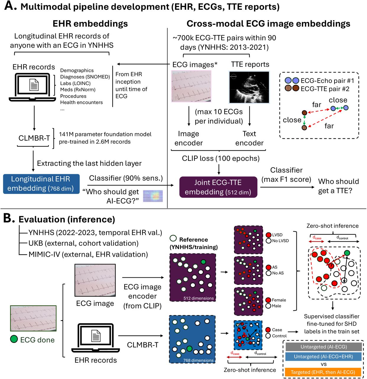 Study design.(A) Training: To evaluate the feasibility and performance of leveraging the EHR for the targeted screening of SHD by AI-ECG, we designed a strategy that jointly leverages two foundation models. First, a pre-trained foundation model built for longitudinal EHR phenotypes (CLMBR-T) is used to define an embedding of an individual’s longitudinal EHR trajectory up until the time an ECG is performed. Second, we apply contrastive pre-training to learn a joint embedding between ECG images (using a vision transformer) and text embeddings of corresponding TTE reports performed within 90 days of each other. This allows us to extract a 768-dimensional embedding reflecting an individual’s EHR history up until that point, as well as a 512-dimensional embedding reflecting structural correlates from the ECG (image). These can be combined to define a sequential, gated paradigm for targeted AI-ECG deployment. (B) Evaluation: The models are evaluated in temporally and geographically distinct datasets of individuals not seen during training. We examine both the zero-shot performance of the embeddings in identifying discrete anomalies by leveraging the relative cosine similarity of a new case versus the reference embeddings of individuals with and without the condition of interest in the training set. Finally, we evaluate the performance of a targeted vs untargeted AI-ECG screening strategy using the fine-tuned sequential “targeted” (EHR pre-screening, followed by AI-ECG) or “untargeted” strategies (AI-ECG for all). AI: artificial intelligence; CLIP: Contrastive Language-Image Pre-training; CLMBR: clinical language model-based representation – transformer; ECG: electrocardiography; EHR: electronic health record; MIMIC-IV: Medical Information Mart for Intensive Care; SHD: structural heart disease; TTE: transthoracic echocardiography; YNHHS: Yale-New Haven Health System.