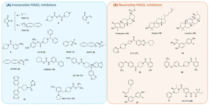 Structures of some representative irreversible (A) and reversible (B) MAGL inhibitors reported in the literature.
