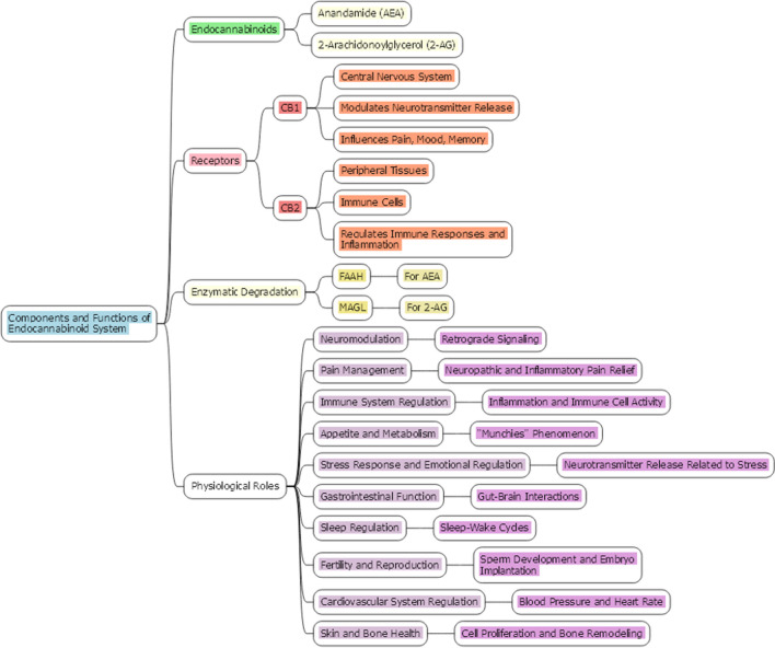 Components and functions of ECS