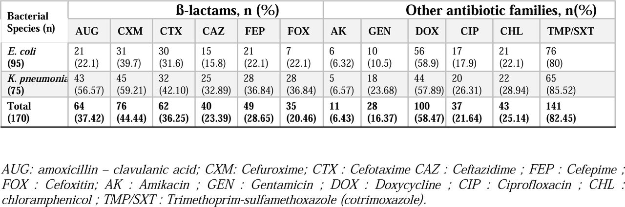 Distribution of antibiotic resistance among E. coli and K. pneumoniae isolates
