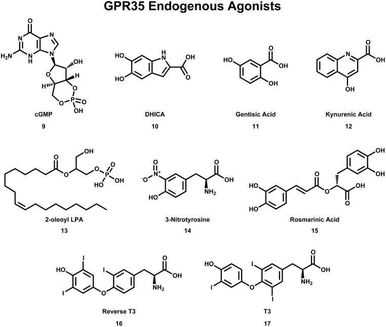 Compounds that have been reported to be endogenous agonists of GPR35/CXCR8.
