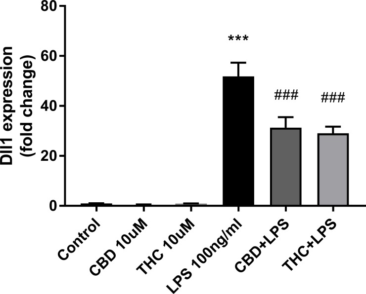 CBD and THC downregulate the expression of the Notch ligand Dll1 in LPS-activated microglial cells.Conditions are as indicated in Fig 2. qPCR data were plotted as the mean ± SEM of three to four independent experiments. One-way ANOVA F(5,24) = 50.54 p < 0.001. Tukey multiple comparison post hoc test: ***p < 0.001 vs. control; ###p < 0.001 vs. LPS.