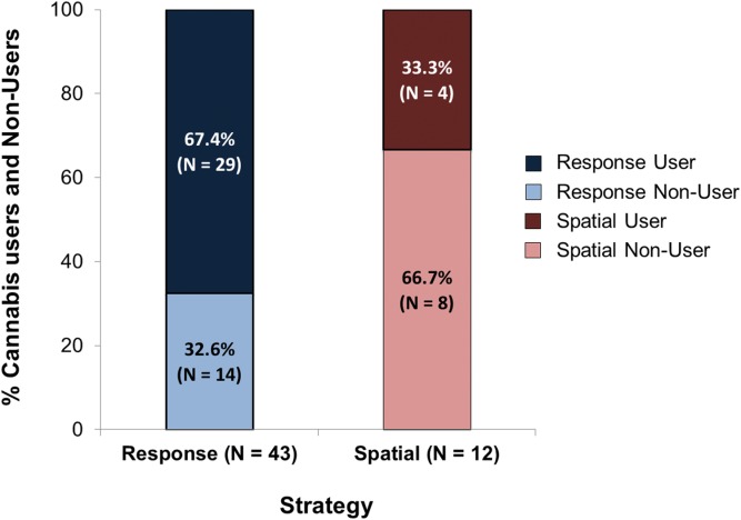 A higher proportion of cannabis users in response learners: A chi-square analysis examining cannabis users and non-users in each navigational strategy group showed that there was a significantly higher proportion of non-users in the spatial group (66.6%) compared with the response group (32.6%). In the response group, there was a higher proportion of cannabis users (67.4%) compared with non-users (32.6%) (× 2(53) = 4.55; P < 0.05). [Color figure can be viewed in the online issue, which is available at http://wileyonlinelibrary.com.]