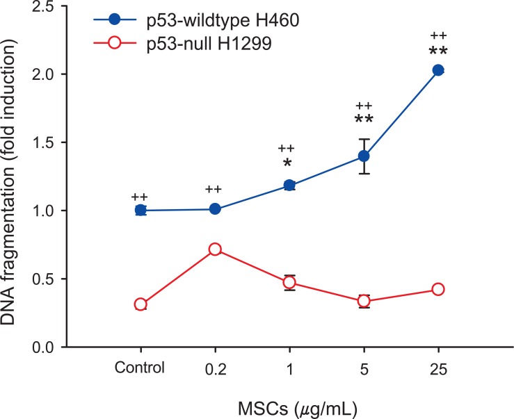 Apoptosis of marijuana smoke condensates (MSCs) measured by cell death detection ELISA in p53-wildtype H460 cells and p53-null H1299 cells. The cells were exposed to MSCs (0.2-25 µg/mL) for 24 hours. The results are presented as fold induction compared to the enrichment factor in the DMSO control in p53-wildtype H460 cells. The results are expressed as mean±SD. Values were significantly different from each control (0.1% DMSO; *p < 0.05, **p < 0.01) or each concentration of MSCs in H1299 cells (††p < 0.01).