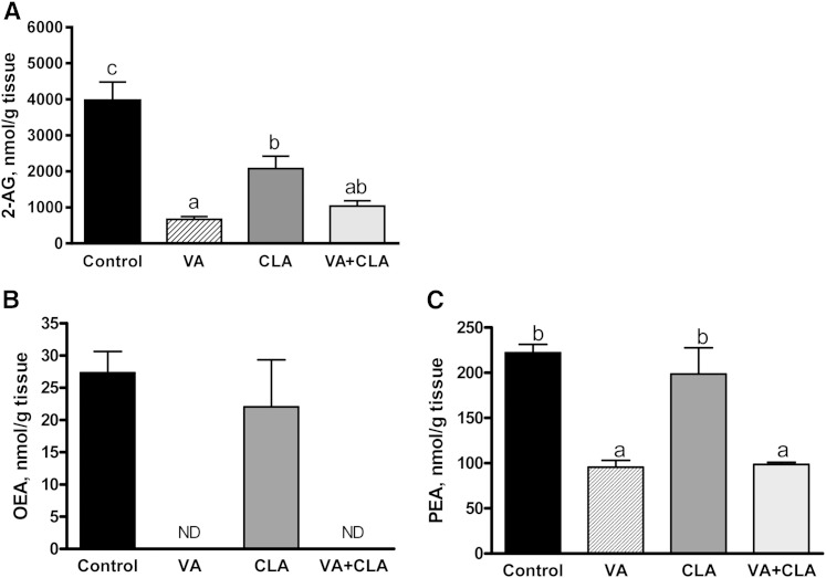 EC (A) and N-acylethanolamine (B, C) concentrations in the liver of JCR:LA-cp rats following dietary supplementation with VA, CLA, or VA+CLA. Values are mean ± SEM, represented by vertical bars (n = 5). Means without a common letter differ (P < 0.05). ND, not detectable