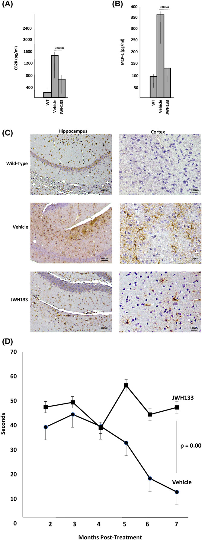 Treatment of mucopolysaccharidosis (MPS) IIIA mice with a CB2R agonist. Three‐month‐old MPS IIIA mice were treated once weekly with JWH133 (10 mg/kg) or vehicle (0.1% DMSO; n = 8/group) for 7 months, and (A) CB2R or (B) MCP‐1 levels were determined in the plasma by ELISA. p values are indicated. (C) Glial fibrillary acidic protein (GFAP), a marker of neuroinflammation, was detected in the hippocampus and cortex of vehicle or JWH133 treated MPS IIIA mice. Age‐matched WT mice from within the MPS IIIA colony were used as controls. Brown staining indicates GFAP. Note the reduced GFAP staining in the MPS IIIA mice treated with JWH133, similar to WT. (D) Starting at 2 months post‐treatment (5 months of age), the vehicle and JWH133 treated MPS IIIA mice were evaluated monthly by a hanging test analysis to assess motor strength and coordination. Note that the performance of the vehicle‐treated mice declined over the treatment period, while the JWH133 treated mice remained stable. The p value at 7 months post‐treatment is shown.