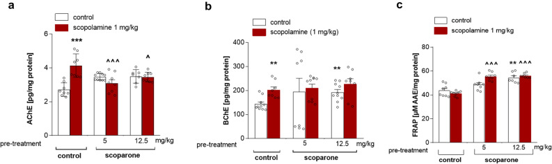 (a) Effects of acute administration of scoparone (5 and 12.5 mg/kg) on AChE brain levels induced by scopolamine administration in mice. Scoparone was administered 30 min and scopolamine (1 mg/kg, i.p.) 20 min before the first trial and animals were re-tested 24 h after the last injection; n = 8–9; the means ± SEM; ***p < 0.001 vs. vehicle-treated control group, ^p < 0.05, ^^^p < 0.001 vs. scopolamine-treated control group; Bonferroni’s test. (b) Effects of acute administration of scoparone on BChE level induced by scopolamine in mouse brain. Scoparone was administered 30 min and scopolamine (1 mg/kg, i.p.) 20 min before the first trial, and animals were re-tested 24 h after the last injection; n = 8–9; the means ± SEM; **p < 0.01 vs. vehicle-treated control group; Bonferroni’s test. (c) Effects of acute administration of scoparone on FRAP levels in mouse brain. Scoparone was administered 30 min and scopolamine (1 mg/kg, i.p.) 20 min before the first trial and animals were re-tested 24 h after the last injection, n = 8–9; the means ± SEM; **p < 0.01 vs. vehicle-treated control group, ^^^p < 0.001 vs. scopolamine-treated control group; Bonferroni’s test.