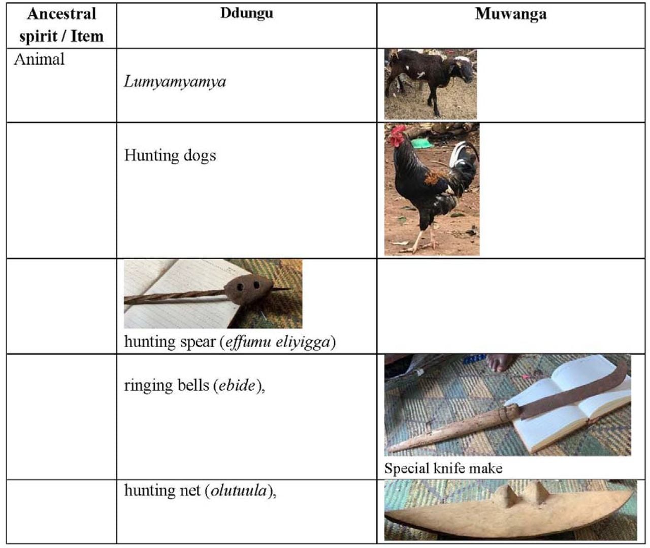 Artefacts and animals of non-royal dry-land ancestral spirits Muwanga and Ddungu