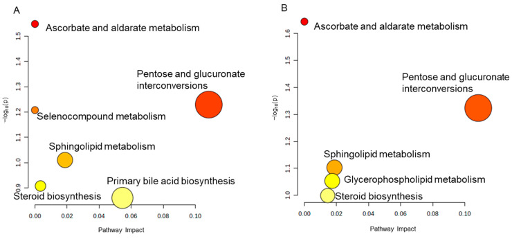 Metabolic pathway analysis of differential metabolites (DMs). (A) Enriched metabolic pathways by Model-DMs. (B) Enriched metabolic pathway by JG-DMs.