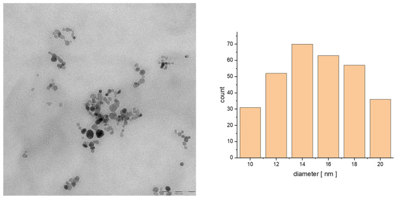 TEM images of the particle size distribution of SPION@OA_T80_CBD_epi (100 nm) and histogram of the size of the obtained structure.