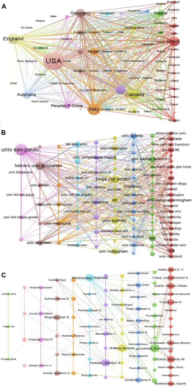 Co-authorships analyses. (A) Co-authorships between different countries. (B) Co-authorships between different institutions. (C) Co-authorships between different authors.