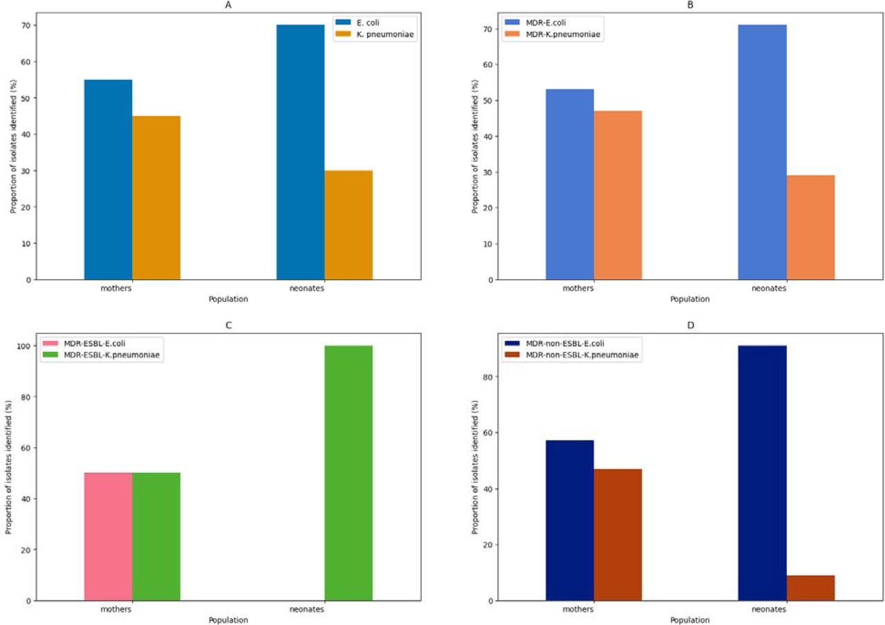 Distribution of E. coli and K. pneumoniae (A), MDR-E. coli and MDR-K. pneumoniae (b), MDR-ESBL-E. coli and MDR-ESBL-K. pneumoniae (C), and MDR-non-ESBL-E. coli and MDR-non-ESBL-K. pneumoniae (D) isolates in mothers and neonates.