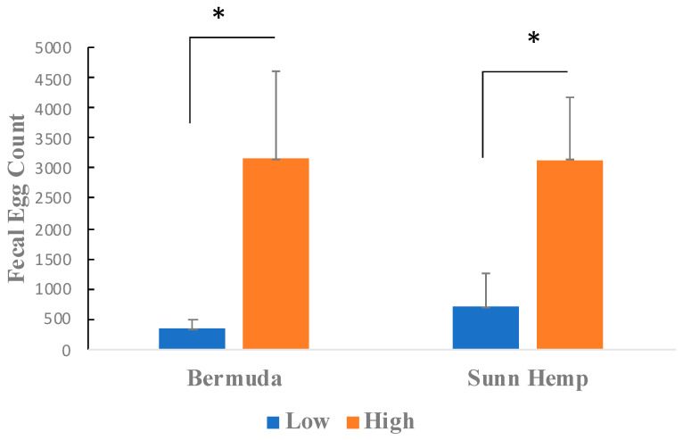 Comparison of Haemonchus contortus egg burden in feces for goats categorized into low and high total fecal egg count groups after 4 weeks of grazing on Bermudagrass or Sunn Hemp paddocks. Asterisks indicate statistical significance (p < 0.05). Standard deviations are presented.
