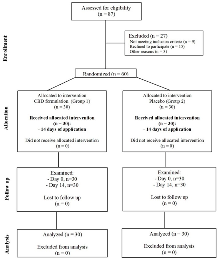 Flow chart of the two arms consolidated standards of reporting trials (CONSORT)-randomized study.