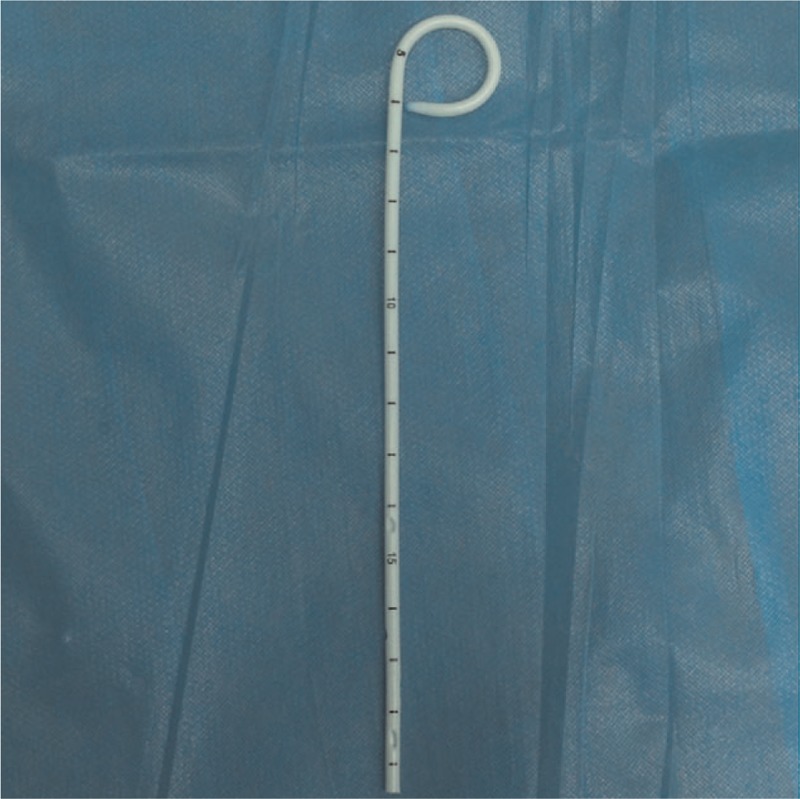 Schematic view of biliary stent drainage tube.