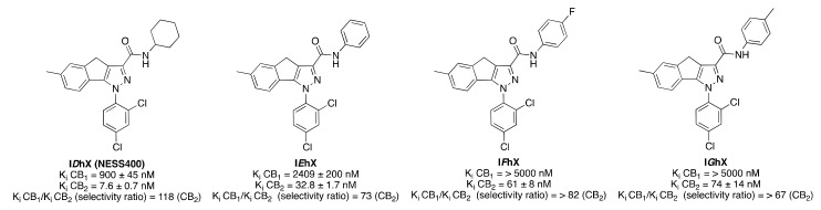 Structure of representative 1,4-dihydroindeno(1,2-c)pyrazoles (I) obtained by modification of carboxamide moiety of compound IAhX. Affinities at CB1 and CB2 receptors were assessed by competition of (3H)-CP 55,940 in mouse cerebellum membranes and in mouse spleen homogenates, respectively [24].