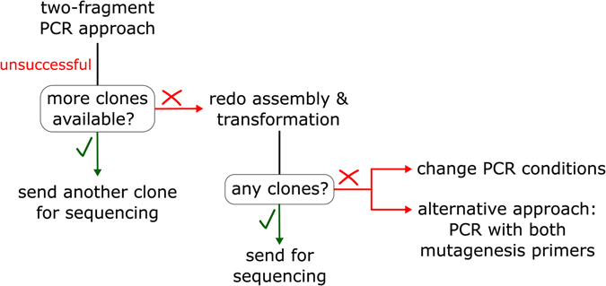 Troubleshooting scheme. For mutants which were not obtained in the first round of cloning, another clone can be sequenced, if it exists. Furthermore, the Gibson assembly reaction can be redone with the same purified DNA fragments, followed by bacterial transformation and sequencing. For missing mutants, PCR conditions can be changed or PCR containing both mutagenesis primers (one-fragment approach) can be applied.