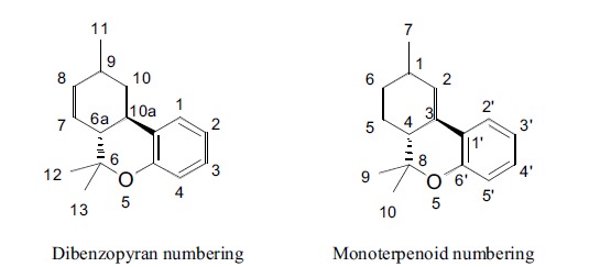 Different numberings of the phytocannabinoid scaffold.
