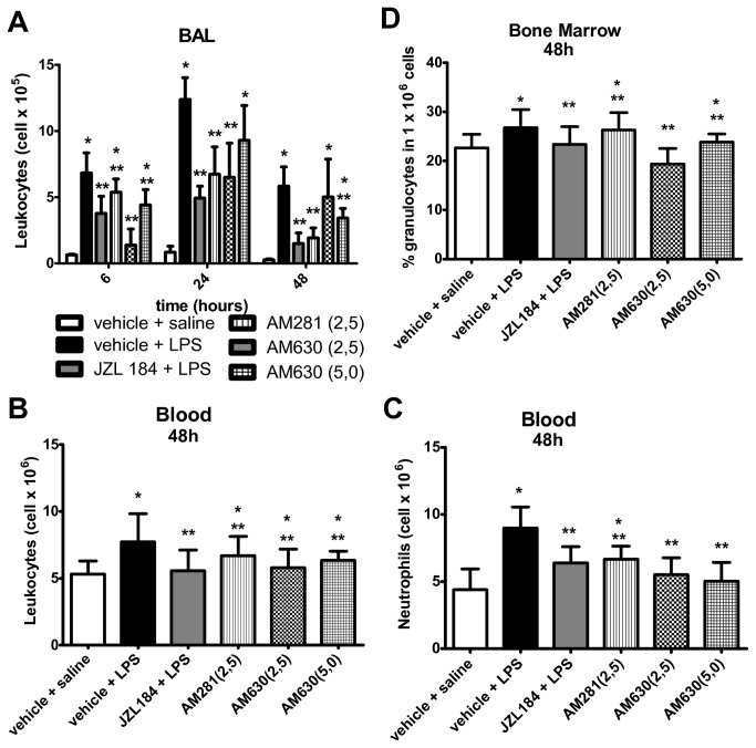 CB1 and CB2 receptors participation in leukocyte migration into the lungs.(A) Leukocyte count in the bronchoalveolar lavage fluid, (B) Leukocyte count in the blood, (C) neutrophils count in the blood and (D) the percentage of granulocytes in the bone marrow. Data are mean ± S.D., n=5-8 mice/group. * and **p<0.05. One-way ANOVA and Tukey-Kramer tests.