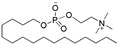 pharmaceuticals-16-01678-i005.jpg