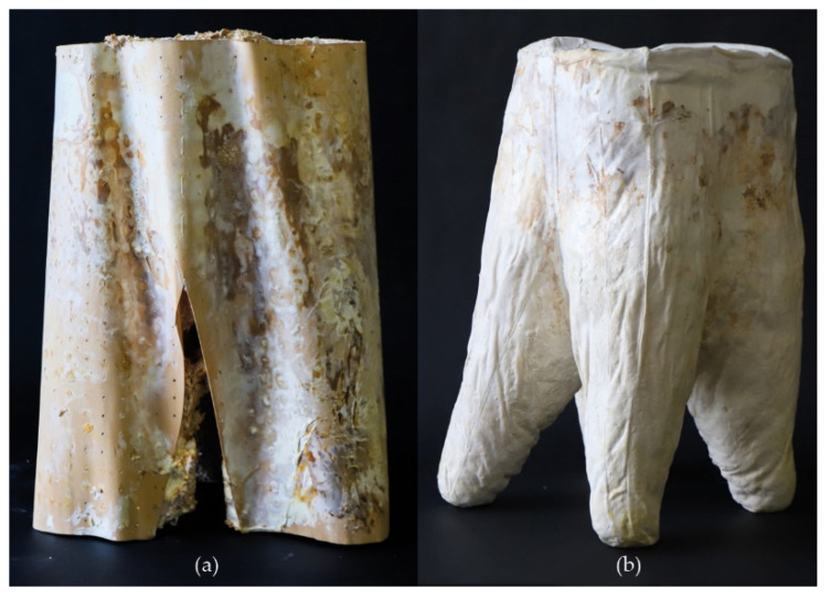 Mycelium-based prototypes: (a) using a timber veneer mold, and (b) using cotton fabric mold, by F. Milano, K. Antorveza, L. Kiesewetter, G. Lochnicki, Materials Matter Lab IV, 2020.