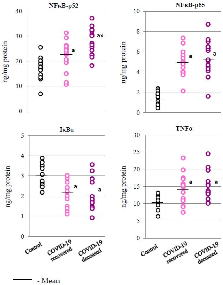 Levels of those proteins that play essential roles in the development of inflammation, such as two family members of nuclear factor kappa-light-chain-enhancer of activated B cells (NFκB p52 and NFκB p65), nuclear factor kappa-light-polypeptide-gene-enhancer of the B cells inhibitor, alpha gene (IκBα), and tumor necrosis factor alpha (TNFα) observed in the granulocytes obtained from recovered (n = 15) and deceased COVID-19 patients (n = 15), as well as from persons from the control group (n = 15). The data points represent the individual values per group: a—significantly different from control group, p < 0.05; x—significantly different from recovered COVID-19 patients, p < 0.05.