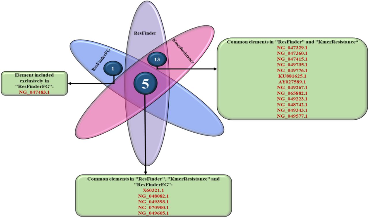 Venn diagram comparing the plasmid Accession Id results of ResFinder 4.1, KmerResistance2.2 and ResFinderFG 2.0