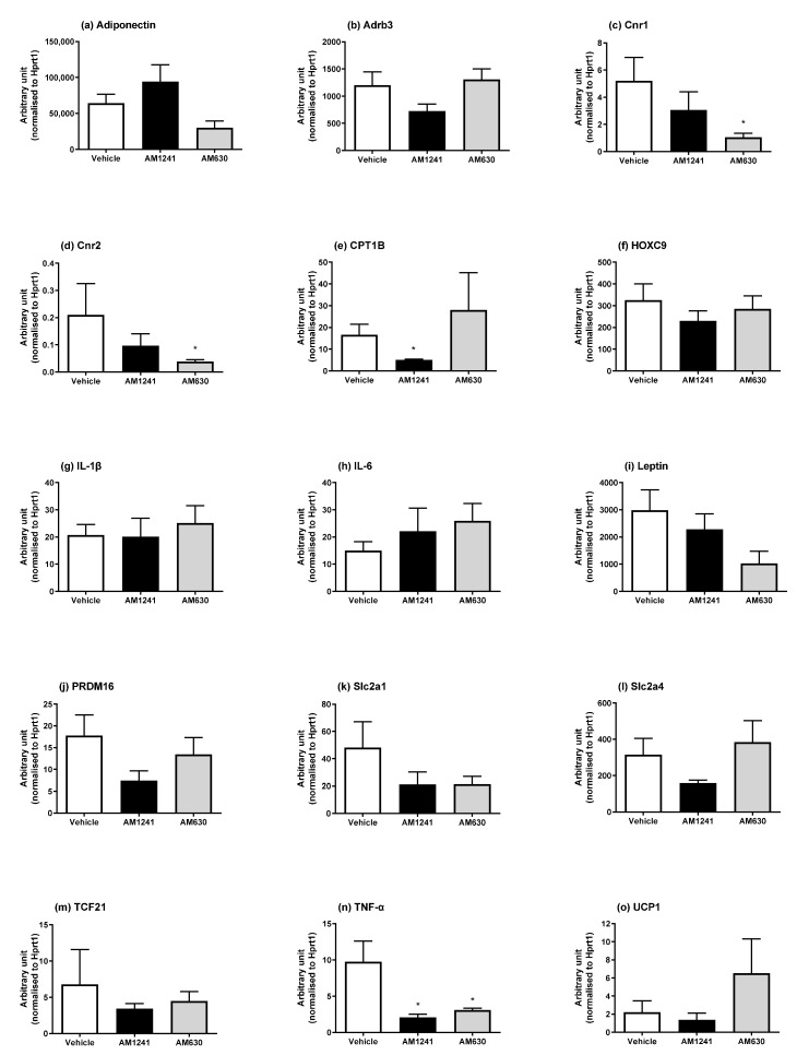 Effect of AM1241 or AM630 treatment on DIO rats peri-renal WAT mRNA expression. DIO rats were injected daily with either AM1241 (3 mg/kg of body weight, ip), AM630 (0.3 mg/kg body weight, ip), or vehicle for six weeks. All results are presented as a mean ± SEM in arbitrary units (normalized to housekeeping gene HPRT1) from n = 6–8 (AM1241)-, n = 6–10 (AM630)-, and n = 8–10 (vehicle)-treated rats on an HFD (exception n = 5 for Slc2a1 and Tcf21 in AM1241 and UCP1 for AM630, n = 6 for Tcf21 vehicle). Significance * p < 0.05 compared to vehicle.
