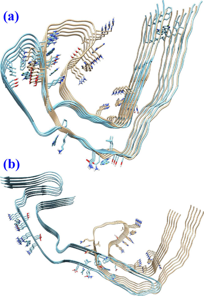 (a) Overlap of microstructures of tau fibrils from AD and CTE patients and (b) overlap of microstructures of tau fibrils from AD and PiD patients.