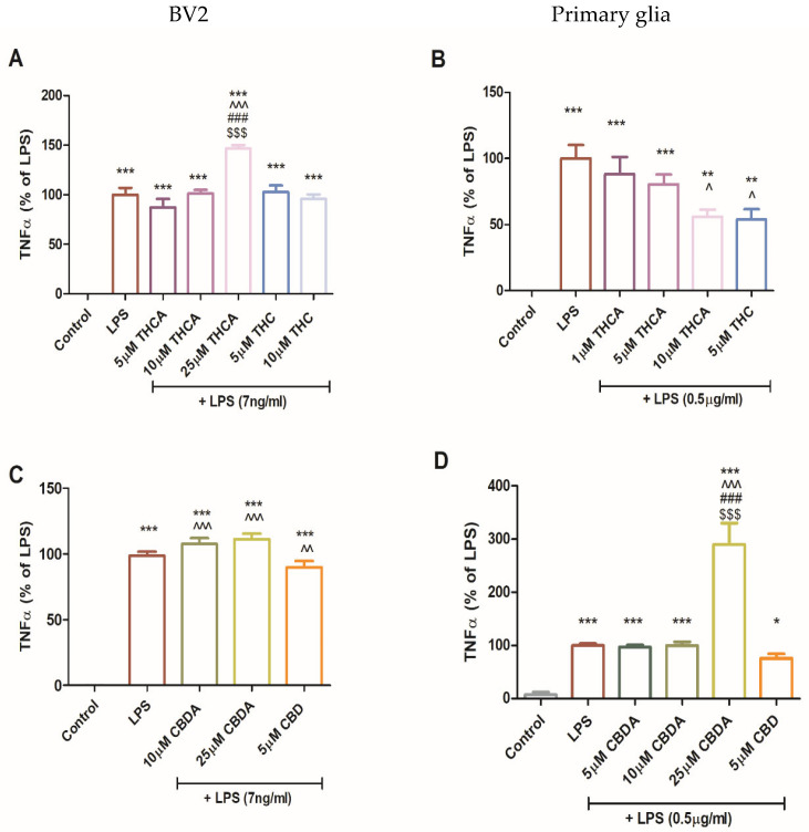 Effect of CBDA and THCA on TNFα production in BV2 and primary glial cells. BV2 (A,C) and primary glial cells (B,D) were incubated for 22 h with LPS (7 ng/mL) and treated with CBDA, THCA, or their neutral derivatives (CBD and THC, respectively) at different concentrations (5, 10, 25 µM). Culture media were collected and analyzed for TNFα levels using ELISA. Data represents results from three independent experiments and are presented as means ± SEM (n = 15). Statistical analysis was performed using one-way ANOVA followed by Tukey–Kramer multiple comparisons post hoc test. *** p < 0.001 vs. control, ** p < 0.01 vs. control, * p < 0.05 vs. control, ^^^—p < 0.001 vs. LPS, ^^—p < 0.01 vs. LPS, ^—p < 0.05 vs. LPSp < 0.001 vs. LPS + THCA 5 µM, $$$—p vs. LPS + THCA 10 µM.