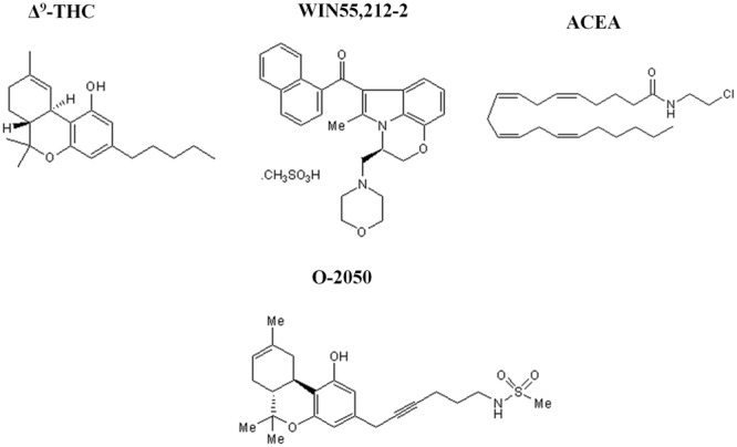 Chemical structure of the different cannabinoid ligands used. Representative scheme of the chemical structure of the different cannabinoid ligands used in this study (Δ9-tetrahydrocannabinol (Δ9-THC), WIN55212-2, arachidonyl-2-chloroethylamide (ACEA) and O-2050).