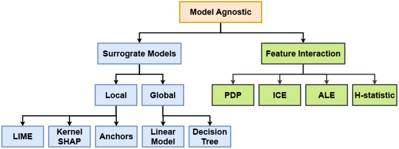 Various Model Agnostic XAI Methods