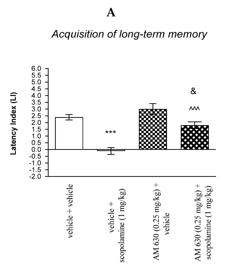The influence of an acute co-administration of CB2-receptor antagonist and effective (amnestic) dose of scopolamine on the cognition-related responses expressed as latency index (LI) during the acquisition (A) and consolidation (B) of memory using the PA test in mice. *** p < 0.001 vs. vehicle/vehicle-treated mice; ^^^ p < 0.001 vs. vehicle/scopolamine (1 mg/kg)-treated mice; & p < 0.05 vs. AM 630 (0.25 mg/kg)/vehicle-treated mice.