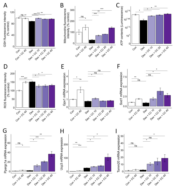 CC reverses Dex-induced oxidative stress and mitochondrial dysfunction in C2C12 myotubes. (A–D) Glutathione content (A), mitochondrial content (B), ATP concentration (C), and reactive oxygen species level (D) in Dex-treated C2C12 myotubes. (E,F) mRA expression levels of Gpx1 and Sod1. (G–I) mRNA expression levels of Pparg1a, Ucp3, and Tomm20. β-actin was used as a loading control. Data are shown as mean ± SE, n = 3–4. * p < 0.05, ** p < 0.01, and *** p < 0.005, ns (not significant) p > 0.05.