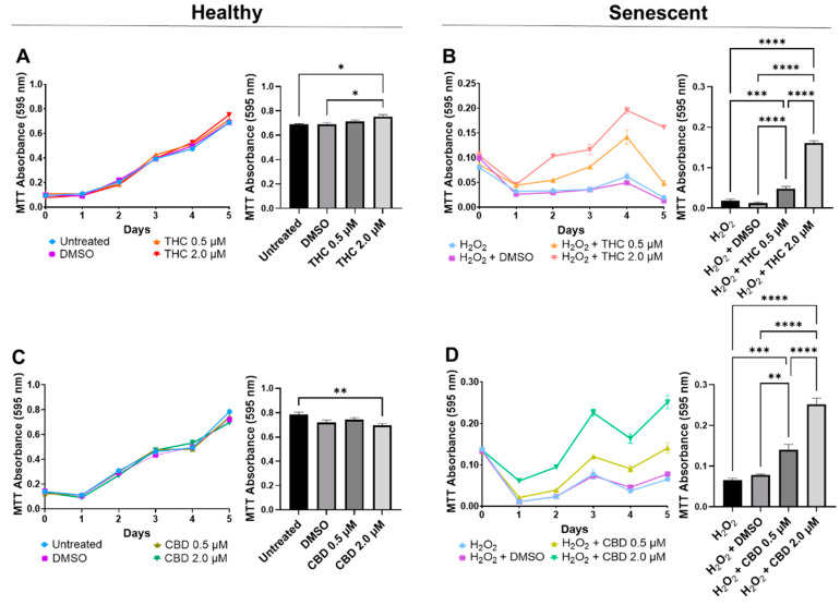 Cell viability of CCD-1064Sk human dermal fibroblasts (PDL 24) treated with THC or CBD at concentrations of 0, 0.5, or 2 µM. (A) Healthy fibroblasts treated with 0, 0.5, or 2 µM of THC. (B) SIPS fibroblasts treated with 0, 0.5, or 2 µM of THC. (C) Healthy fibroblasts treated with 0, 0.5, or 2 µM of CBD. (D) SIPS fibroblasts treated with 0, 0.5, or 2 µM of CBD. Cell viability was quantified by MTT assay. Data were analyzed with an ANOVA test followed by Tukey’s post-hoc multiple comparison test. Bars represent mean ± SEM, n = 3. Significance is indicated using the following scale: * p < 0.05, ** p < 0.01, *** p < 0.001, **** p < 0.0001. CBD, cannabidiol; DMSO, dimethyl sulfoxide (vehicle); THC, delta-9-tetrahydrocannabinol.