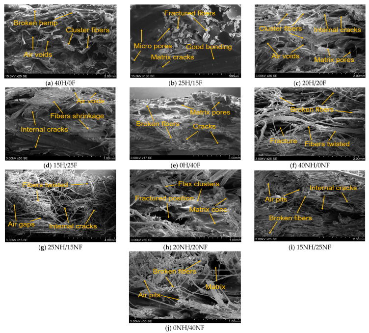 SEM micrographs for hemp/flax fiber biocomposite flexural test fracture samples.