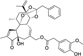 fmolb-09-841190-fx31.jpg