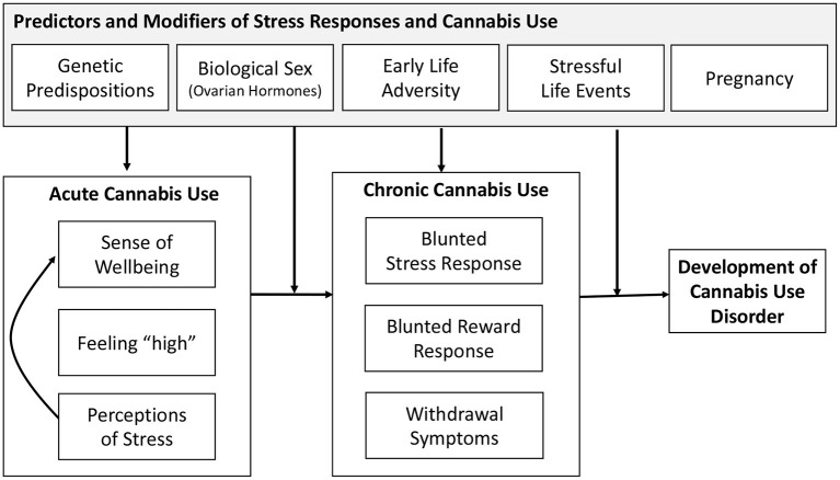 Framework of stress and development of cannabis use.