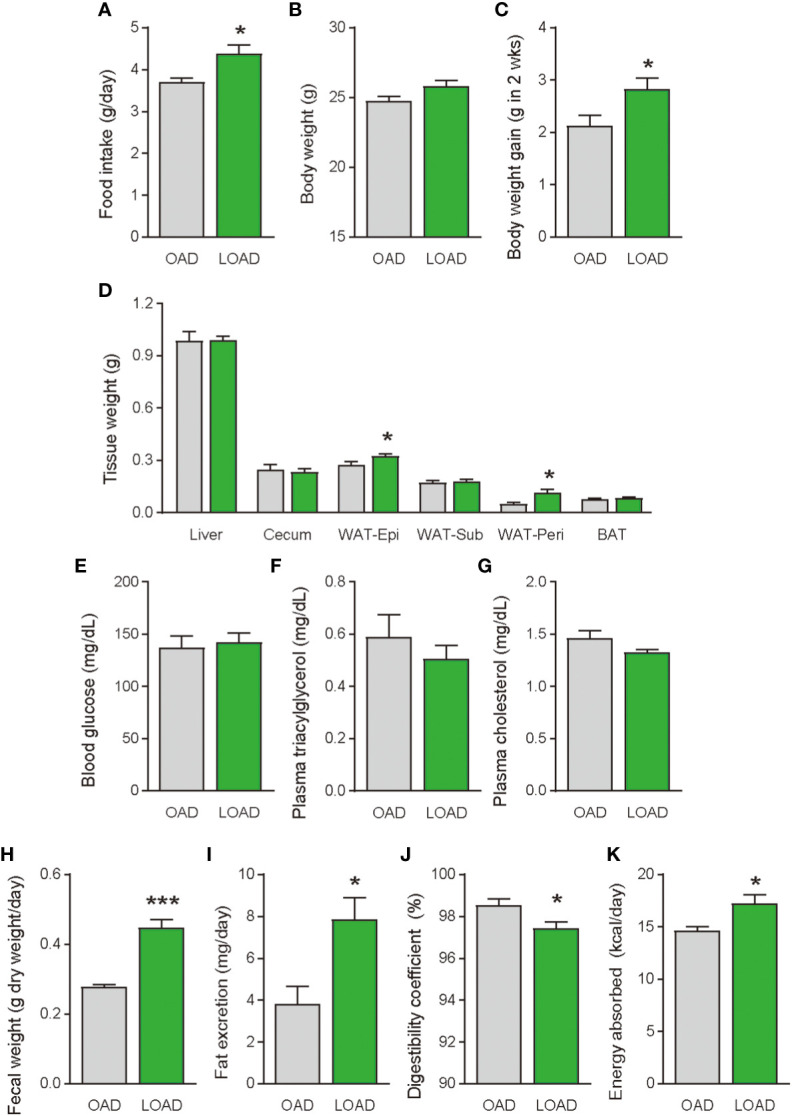 Food intake, body weight gain, tissue weight, and blood glucose, plasma lipid levels, and fecal fat excretion in mice fed the OAD and LOAD for two weeks. (A) Food intake was measured on the last day of the feeding period (n = 5 for each group). (B) Final body weight on the last day of the feeding period and (C) body weight gain during the feeding period in mice fed the OAD and LOAD (n = 8 for each group). (D) Weights of the liver, cecum, epidydimal adipose tissue (WAT-Epi), subcutaneous adipose tissue (WAT-Sub), peritoneal adipose tissue (WAT-Peri), and brown adipose tissue (BAT), (E) blood glucose levels, (F) plasma triacylglycerol levels, and (G) plasma total cholesterol levels of mice the OAD and LOAD (n = 5–9). Feces were collected for 24 h on the final day of feeding. (H) Fecal weight of feces collected over 24 h. (I) Total lipids were extract from the feces and hydrolyzed. Extracted fatty acids were measured, and the values are expressed as triacylglycerol levels. (J) Digestibility coefficients were calculated using fat excretion (mg/mouse) and fat consumption (mg/mouse) in individual mice. (K) Energy absorption was calculated using fat excretion and total energy consumption. Values are expressed as means ± SEMs (n = 5-9). *P < 0.05; ***P < 0.001.
