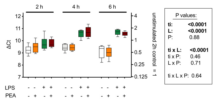 mRNA levels of Napepld, coding for NAPE-hydrolysing phospholipase D (NAPE-PLD) in J774 cells cultured in 24-well plates for 24 h and treated for 2, 4, and 6 h with lipopolysaccharide (LPS, 0.1 µg/mL) + interferon-γ (100 U/mL) and/or 10 µM PEA. Shown are box and whisker plots, N = 8. The mRNA values are determined using Rpl19 as reference gene and are given as ∆Ct with the mean values relative to the unstimulated controls at the 2 h time point on the right y-axis. A decrease of 1 ∆Ct unit represents a doubling in the mRNA concentration. The box shows the results of a 3-way ANOVA (ti, time; L, LPS + interferon-γ; P, PEA. These indicate a time-dependent effect of the inflammatory stimulus on Napepld expression, but no significant effect of PEA treatment. Figure redrawn from [87].